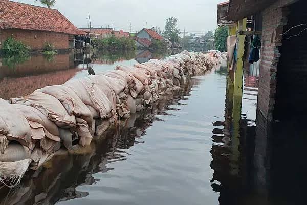 Banjir Rob di Pekalongan Meluas, 89 Orang Mengungsi