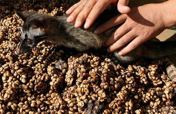 Berbagai Keunikan Ada di Sini, Karena #IniIndonesiaku