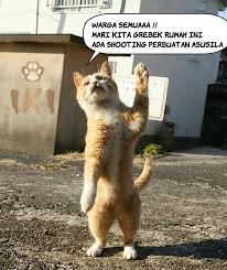 kaskus-image