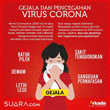 Pandemi COVID-19 Melanda, Mari Kita Lakukan Kegiatan di Rumah Saja!