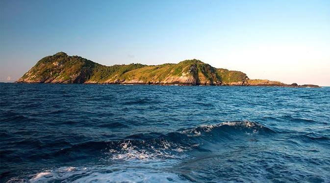 Pulau Penuh Ular, Destinasi Terlarang yang Membuat Bulu Kuduk Berdiri!