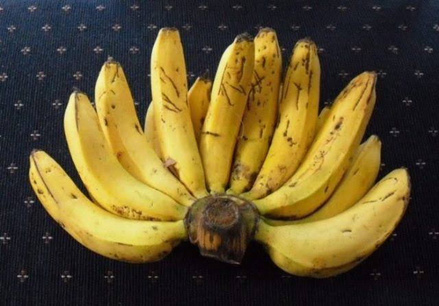 5 varietas pisang Unggul paling enak di Indonesia