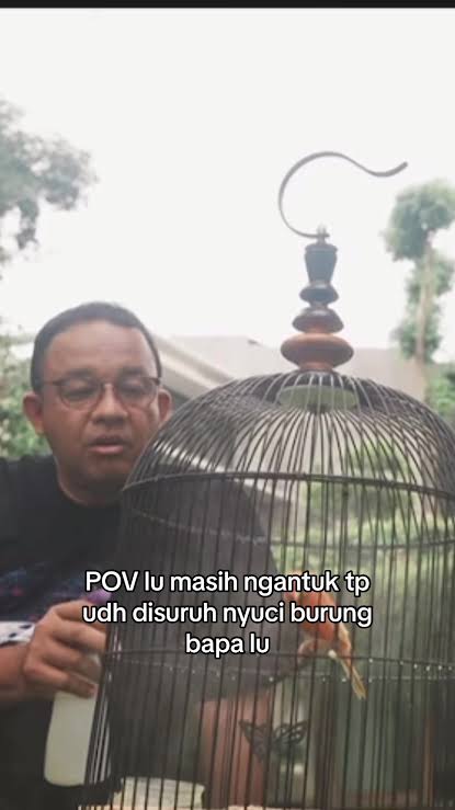 Solusi Biar Tak Kena Royalti, LMKN Sarankan Pengusaha Kafe Rekam Sendiri Suara Burung