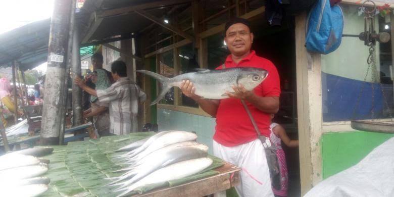 jelang-natal-harga-daging-ayam-di-kalimantan-rp-1-juta-per-ekor