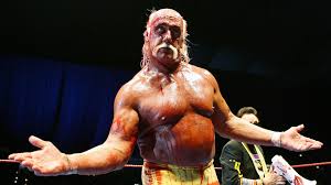 MASIH INGAT DENGAN HULK HOGAN ??