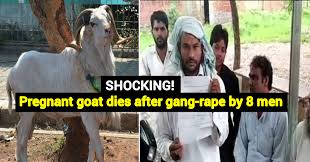 why-india-s-rape-crisis-shows-no-signs-of-abating