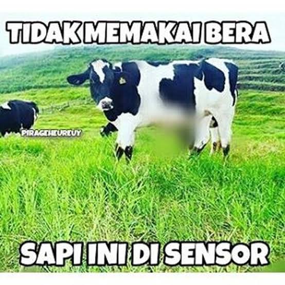 kepergok-mesum-di-toilet--video--pelajar-bocah-ini-viral-efek-buruk-medsos-kah