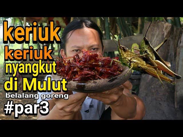 Tak Hanya Nasi, Belalang Goreng Jadi Menu Bergizi Gratis di Blora Jawa Tengah 
