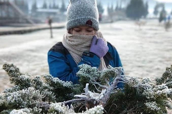 Dieng Membeku! Suhunya Minus 1,7 Derajat Celcius, Embun Es Tebal