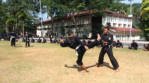 - 5 Aliran Pencak Silat Yang Paling Disegani -