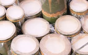 Mengenal Yogurt si Susu Fermentasi