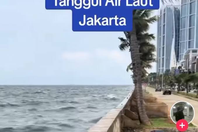 Banjir Rob Rendam 6 RT di Jakarta Utara, Pluit Terparah!
