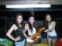 Cara Merawat Ayam Aduan Siap Tarung