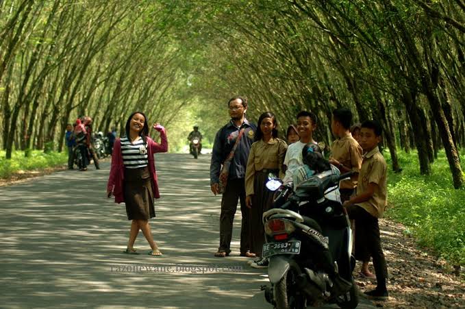 &#91;COC Regional : Lokasi Wisata&#93; Pesona Kebun Karet Trikora Lampung, Ala-ala Korea?
