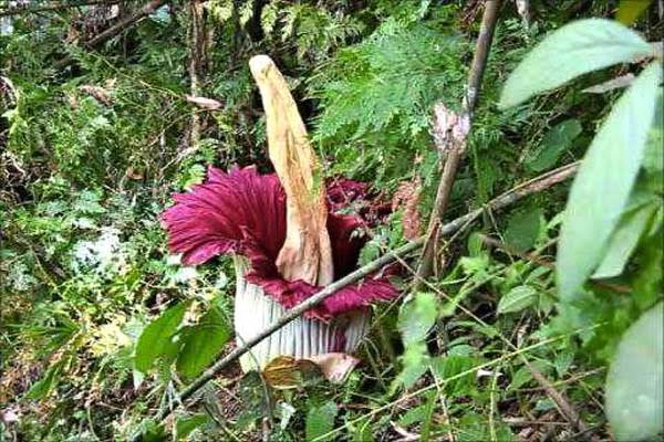 Berbagai Keunikan Ada di Sini, Karena #IniIndonesiaku