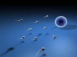 Ingin Punya Sperma Unggul? Luangkan 1 Jam dan Ikuti Cara Ini