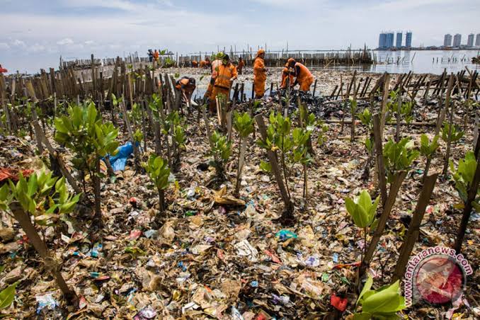 Atasi Banjir, Pramono-Rano Akan Bangun Giant Mangrove Wall di Pesisir Jakarta