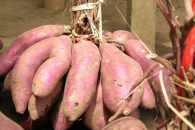 Ingin Diet? Berikut Daftar Makanan Diet Murah Meriah