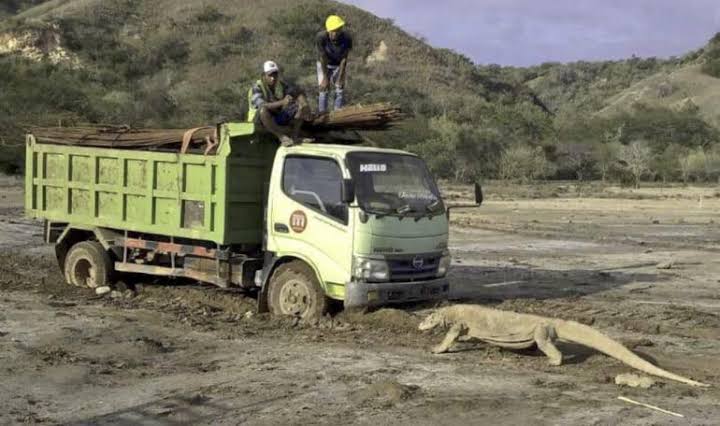 Kok Bisa ya Konten Cegat Truk Terus Bermunculan?