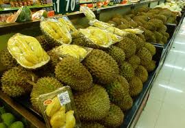 Untungnya Bisnis Durian Dengan Sistem Okulasi