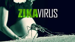 Virus Zika Diklaim Bisa Membuat Proses Evolusi Mundur 2 Juta Tahun