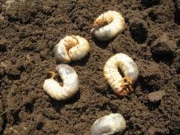 divine-intervention-misteri-berbagai-mukjizat-di-quotsejarahquot-3-agama-samawi