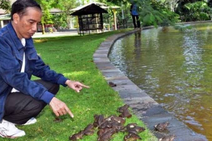 Megawati Menangis karena Kodok, Rocky Gerung Malah Tertawa