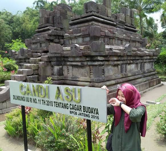 Mengapa Jokowi Dapat Rumah Pensiun 12 Ribu Meter Persegi di Colomadu?