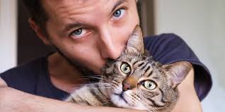 &#91;HOT&#93; 33 Fakta Keren Tentang Kucing