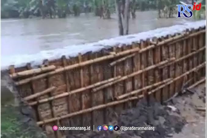 Banjir Rob di Pekalongan Meluas, 89 Orang Mengungsi