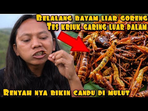 Tak Hanya Nasi, Belalang Goreng Jadi Menu Bergizi Gratis di Blora Jawa Tengah 