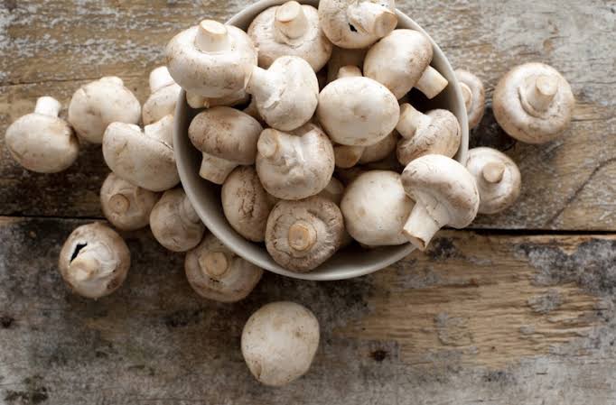 Makanan super hingga ladang uang, berikut fakta luar biasa Jamur yang belum kamu tau.