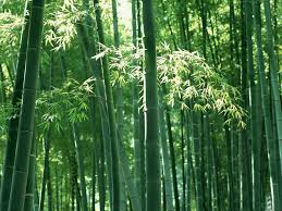 Mainan Tradisional Indonesia Berbahan Dasar Bambu