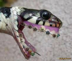foto gokill :ngakak abiss