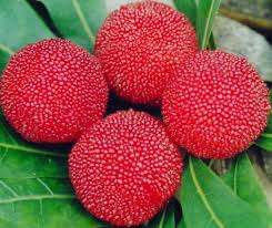 10 Buah yang Bentuknya Aneh