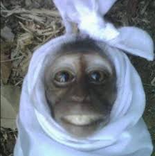Terekam Kamera Pocong Pesugihan Yang Selama ini Ludahi Dagangan ada di (MALAYSIA)