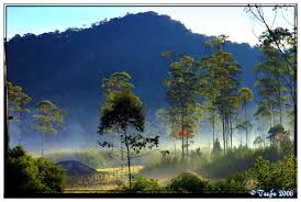 Pesona Ciwidey, Bandung Jawa Barat