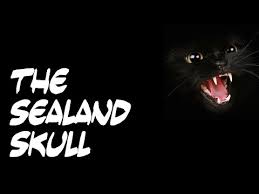 xenology-the-x-files-kisah-berbagai-unexplained-misteri-yang-terjadi-di-dunia