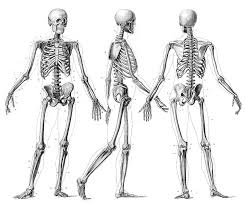 Gan-Sis Apakah Orang yang percaya Teori Evolusi Darwin itu Atheis?