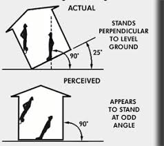 xenology-the-x-files-kisah-berbagai-unexplained-misteri-yang-terjadi-di-dunia