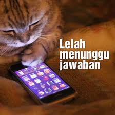 rf-savior-rpg-system-up-hari-rabu-15-januari-2014