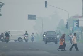 Kebersihan di Mulai dari yang Kecil