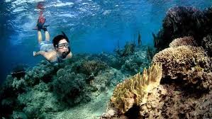Wow, Bali Terpilih Sebagai Pulau Terindah di Dunia