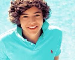 Bagaimana Cara Menggambar Harry Styles One Direction (Bentuk Wajah)