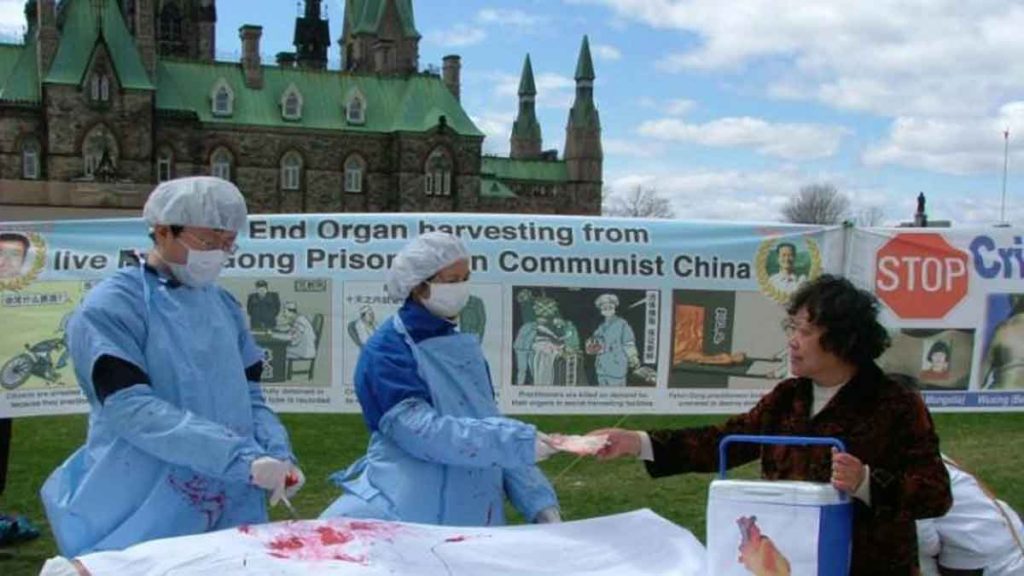 Serial Survival ‘Squid Game’ Ingatkan Pengambilan Organ Tubuh Hidup-hidup di Tiongkok