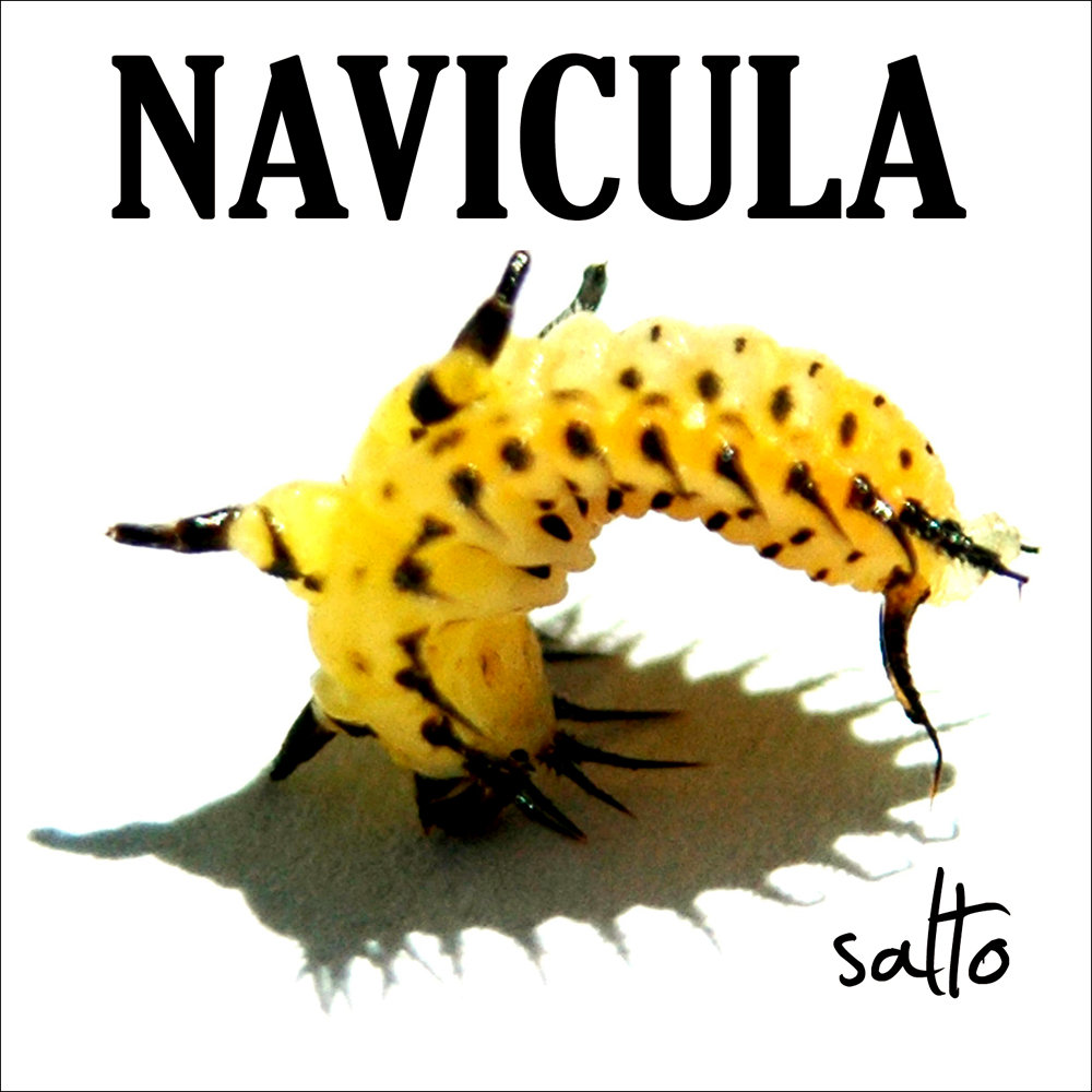 .:: Navicula ::.