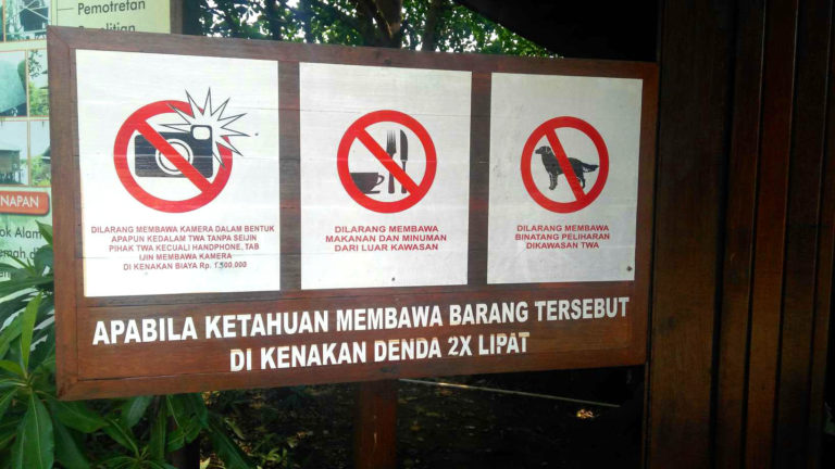 Mencari yang Hijau-Hijau di Taman Mangrove PIK, Jakarta