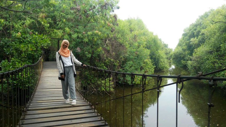 Mencari yang Hijau-Hijau di Taman Mangrove PIK, Jakarta