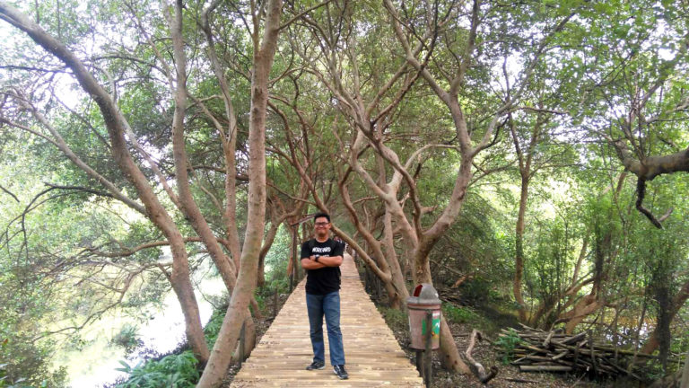 Mencari yang Hijau-Hijau di Taman Mangrove PIK, Jakarta