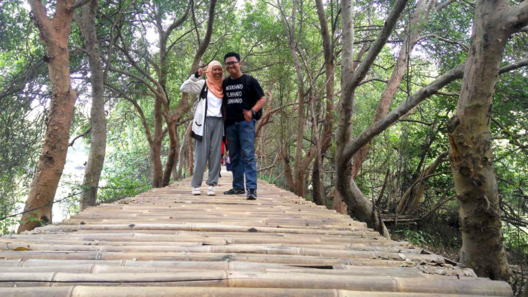Mencari yang Hijau-Hijau di Taman Mangrove PIK, Jakarta